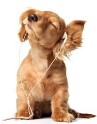 Music Can Soothe the Soul of Caregivers and Their Loved Ones