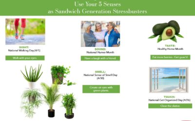 Use Your 5 Senses as Sandwich Generation Stressbusters
